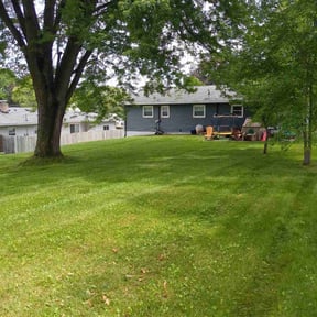 yard care by Murphy Tree Service reviewed on August 20, 2025