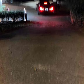 Leaf Removal by RK Construction Co reviewed on September 18, 2025