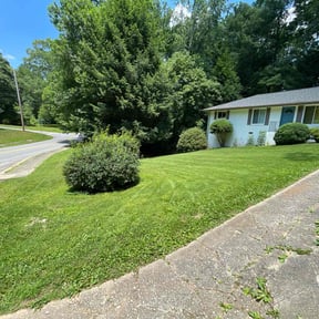 yard care by Green coqui lawn services reviewed on August 15, 2025