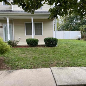 Bush Trimming by Two Lawns One Cut reviewed on August 18, 2025