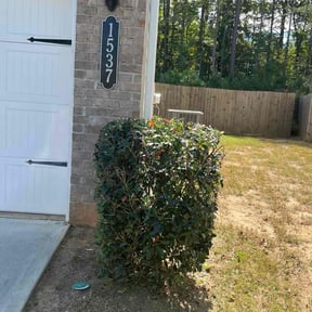 Bush Trimming by Family Lawn Care reviewed on November 20, 2025