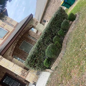 Bush Trimming by A1A Lawn Care reviewed on January 6, 2026