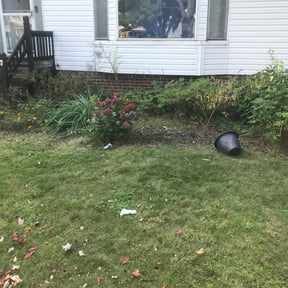 Flower Bed Weeding by Williams Luxury Landscaping LLC  reviewed on August 17, 2025