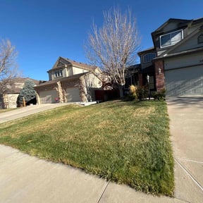 Leaf Removal by Green landscaping LLc reviewed on November 19, 2025