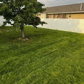 residential landscaping by Medlyn Services L.L.C reviewed on August 18, 2025
