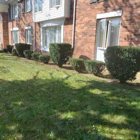 Bush Trimming by Wildflower Lawn Care Company reviewed on August 21, 2025