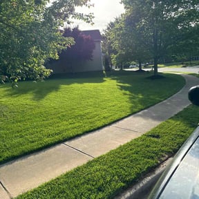 yard care by BAM Lawn, Lights &amp; Maintenance reviewed on July 15, 2025
