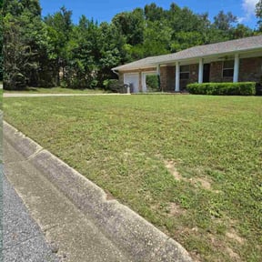 Bush Trimming by Budget Cut Lawn Service reviewed on October 21, 2025