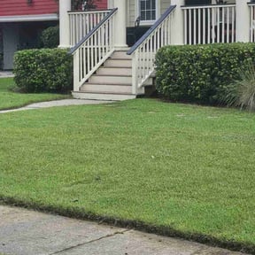 grass maintenance by Scott Lawn and landscaping reviewed on August 15, 2025