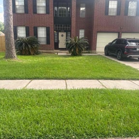 residential landscaping by Three E's Lawn Care LLC. reviewed on August 18, 2025