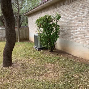 Bush Trimming by Sunshine lawncare reviewed on August 20, 2025