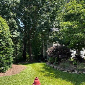 lawn service by Walker Handyman reviewed on August 19, 2025