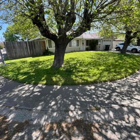 yard work by Mojica Lawn Care reviewed on August 18, 2025