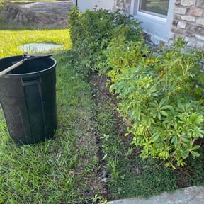 Bush Trimming by Eden Landscape and Tree service reviewed on August 21, 2025