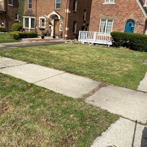 Leaf Removal by Mike&#039;s Mowing reviewed on September 7, 2025