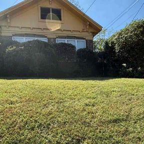 Bush Trimming by Alwright Landscaping and Lawncare LLC reviewed on October 19, 2025