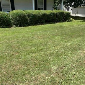 Bush Trimming by Big Country Lawn Care, LLc reviewed on August 21, 2025