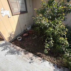 Flower Bed Weeding by A Better Lawncare reviewed on March 26, 2026