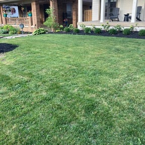 yard maintenance by Indy's Grass Slingers. LLC. reviewed on August 16, 2025