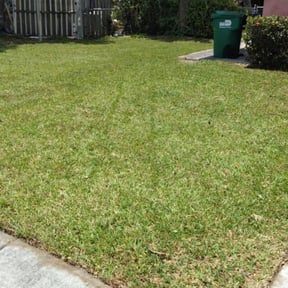 Leaf Removal by Jose Villatoro reviewed on August 19, 2025