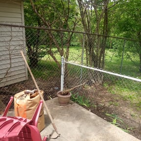 Leaf Removal by The Bush Guys reviewed on September 6, 2025