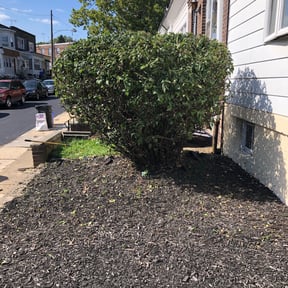 Bush Trimming by Slaughter Lawn Care reviewed on August 16, 2025
