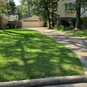 landscaping by Thomas Family Landscaping reviewed on August 19, 2025