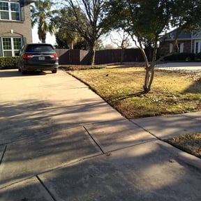 Leaf Removal by My Master Garden reviewed on September 19, 2025