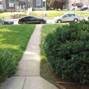 Bush Trimming by H & S Lawn Service. reviewed on August 18, 2025