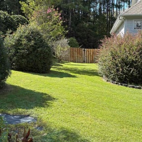 yard care by Top Turf L.L.C reviewed on November 26, 2025