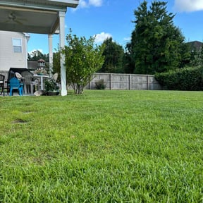 landscaping by NEW CREATION LAWN PROFESSIONALS reviewed on December 6, 2025