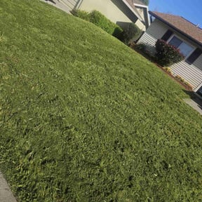 grass cutting by Florida&#039;s Finest Property Maintenance reviewed on March 19, 2024
