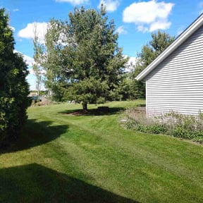 turf care by Another beautiful Kreation reviewed on August 15, 2025