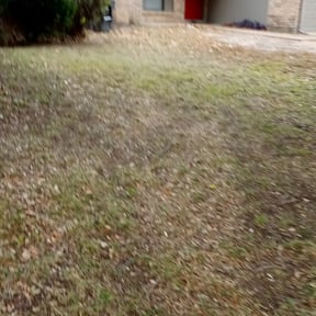 Leaf Removal by Reliable Maintenance Solutions reviewed on September 24, 2025