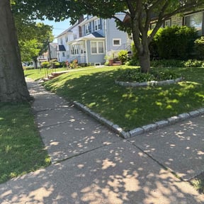 landscape maintenance by Elite Lawn Care reviewed on August 18, 2025