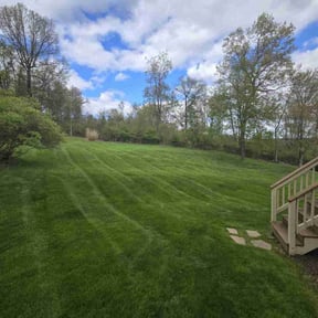 landscaping by lazer lawns reviewed on August 18, 2025