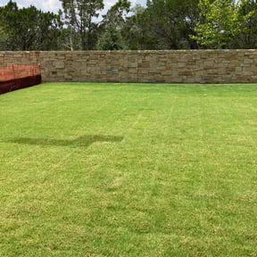 lawn maintenance by Diego Mojica Lawn Care reviewed on August 17, 2025