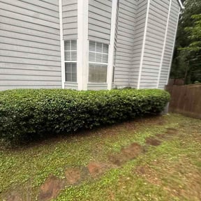 Bush Trimming by DLS Lawn Service reviewed on July 17, 2026