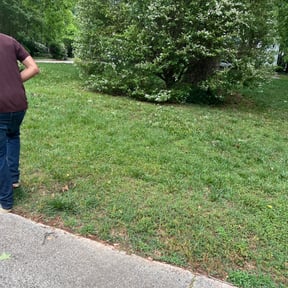 Bush Trimming by Amayas Pro Lawncare reviewed on August 19, 2025
