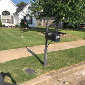 yard service by Timothy Inge reviewed on August 18, 2025