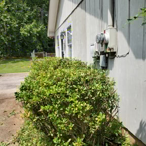 Bush Trimming by D's Lawn Care reviewed on August 17, 2025