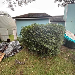 Bush Trimming by Undefeated Landscaping LLC. reviewed on October 18, 2025