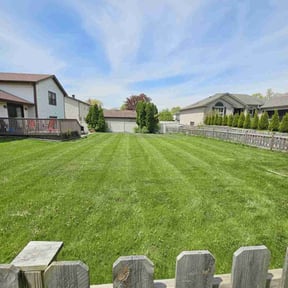 gardening service by Community Lawn reviewed on August 16, 2025