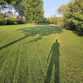 yard care by Mr. Mower reviewed on November 22, 2025