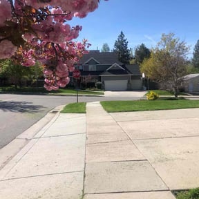 Long Grass Cleanup by Shelveen Prakash reviewed on August 18, 2025