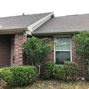 Bush Trimming by Keith Dalke reviewed on November 24, 2025