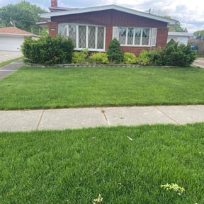 yard work by Avis Wrecking and lawn care co. reviewed on August 21, 2025
