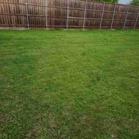 grass cutting by Lawn Love Landscaping reviewed on April 14, 2019