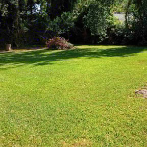 Lawn Treatment by  reviewed on November 14, 2025