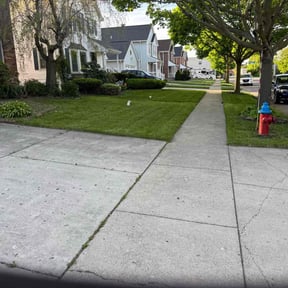 landscaping services by Student Loan Payment Lawn Care reviewed on August 21, 2025